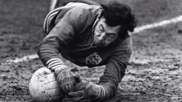 goalkeeper gloves